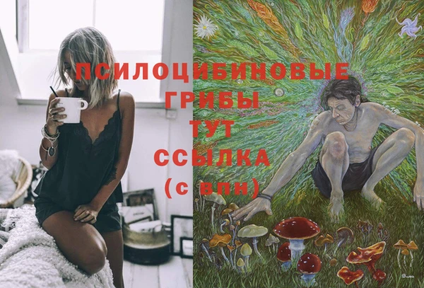 соль курить ск Аркадак