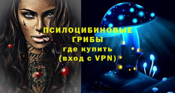 гидра Армянск